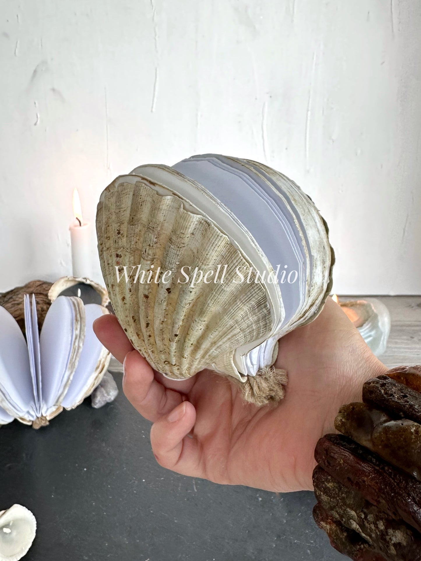 Shell journal with baby growth