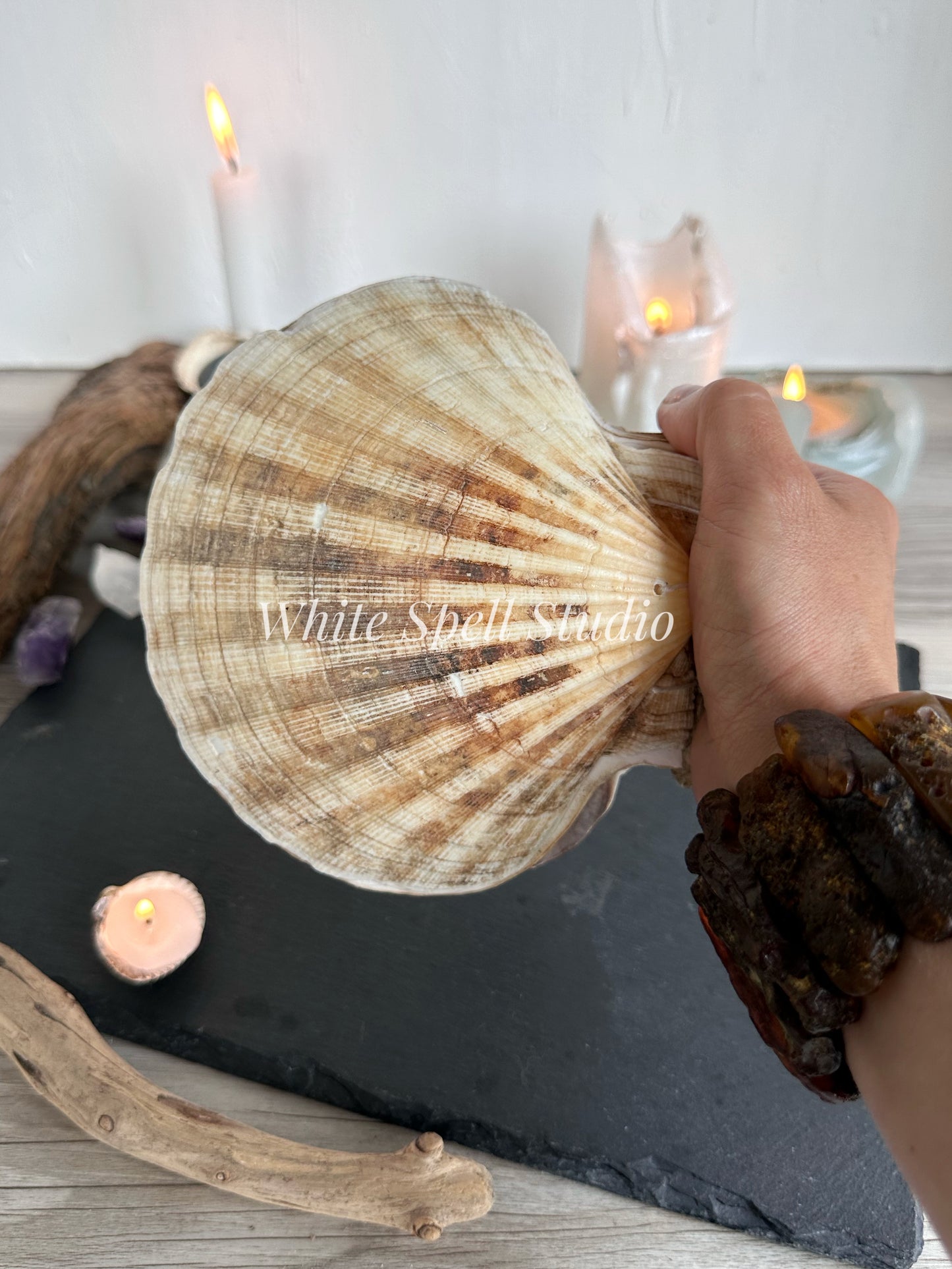 Extra large Beige scallop shell journal