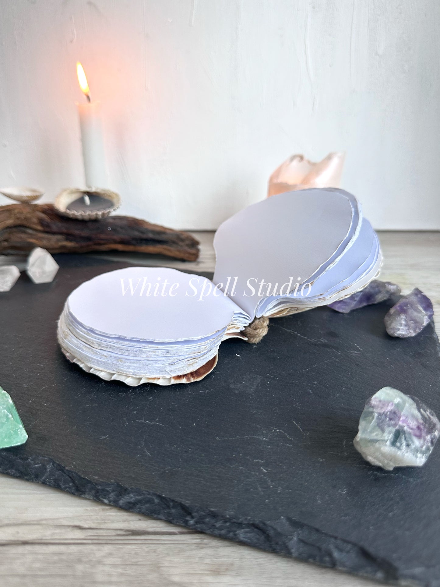 Milky white shell journal