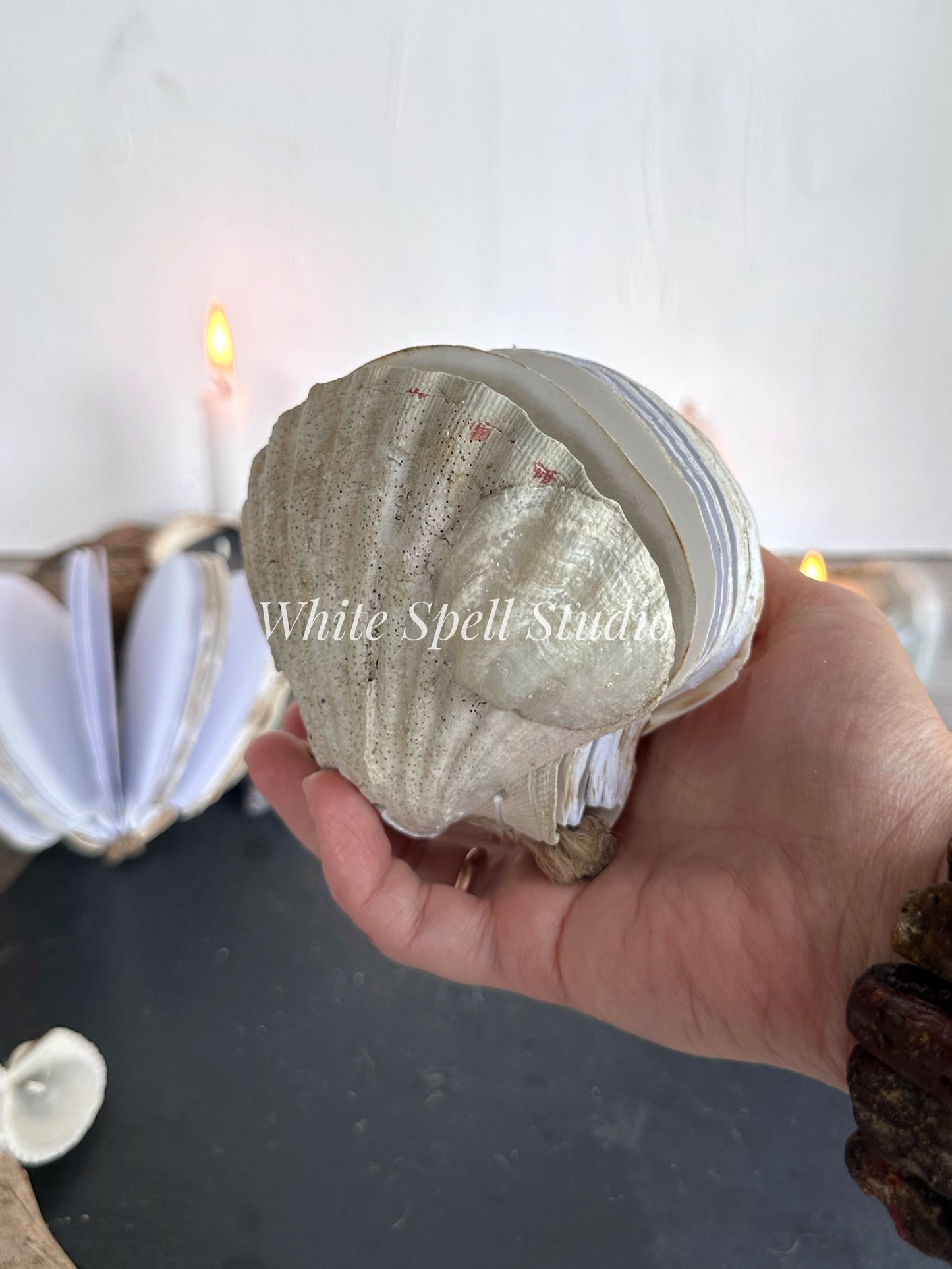 Shell journal with baby growth