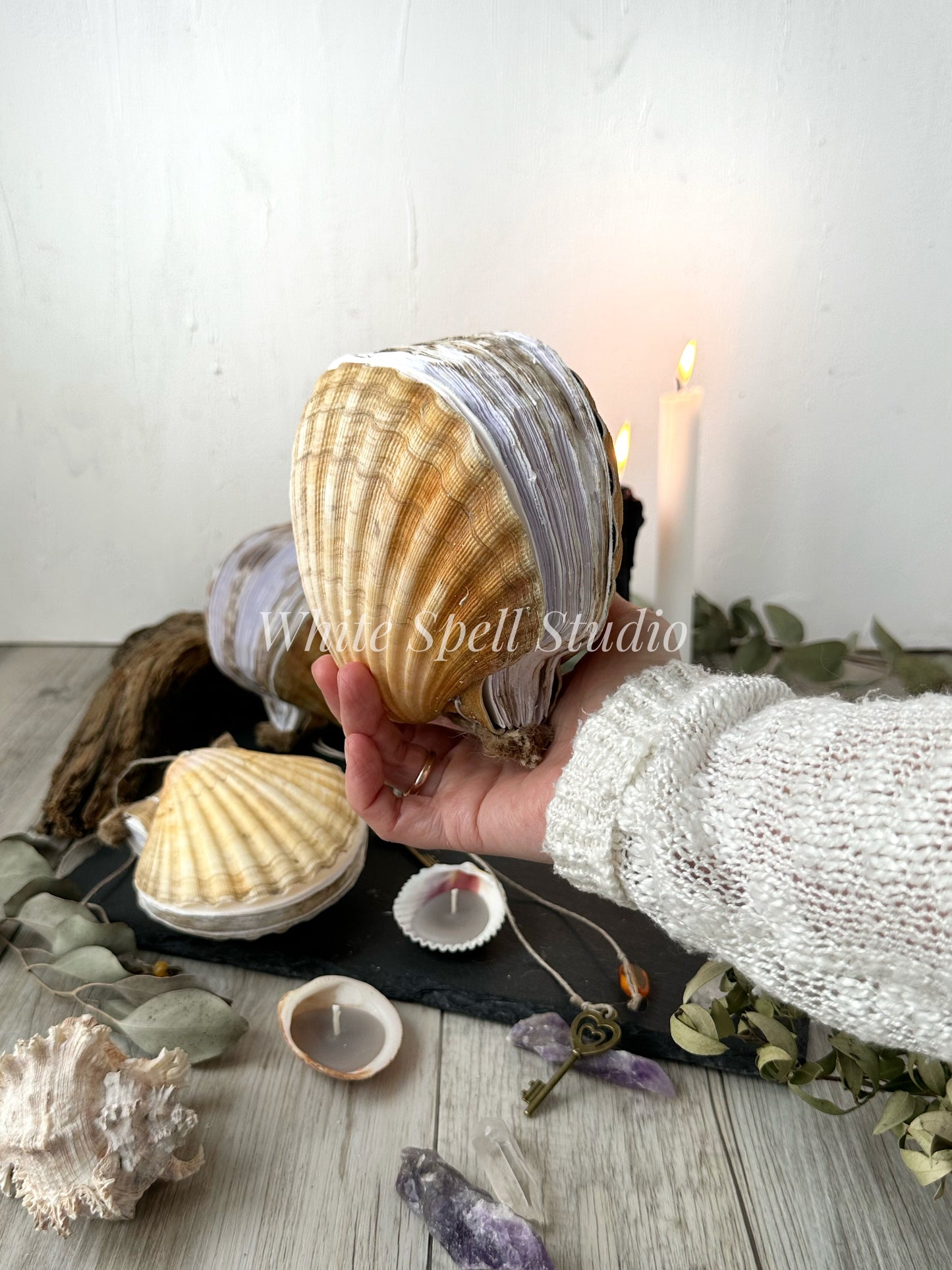 Scallop shell journal, beige (free shipping)