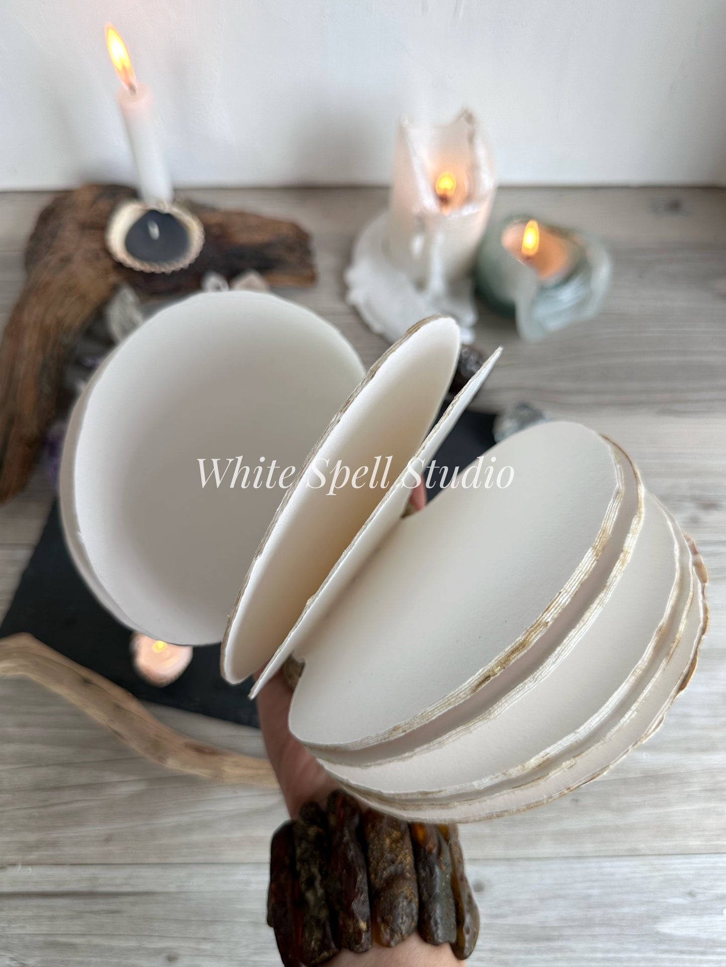 Extra large Beige scallop shell journal