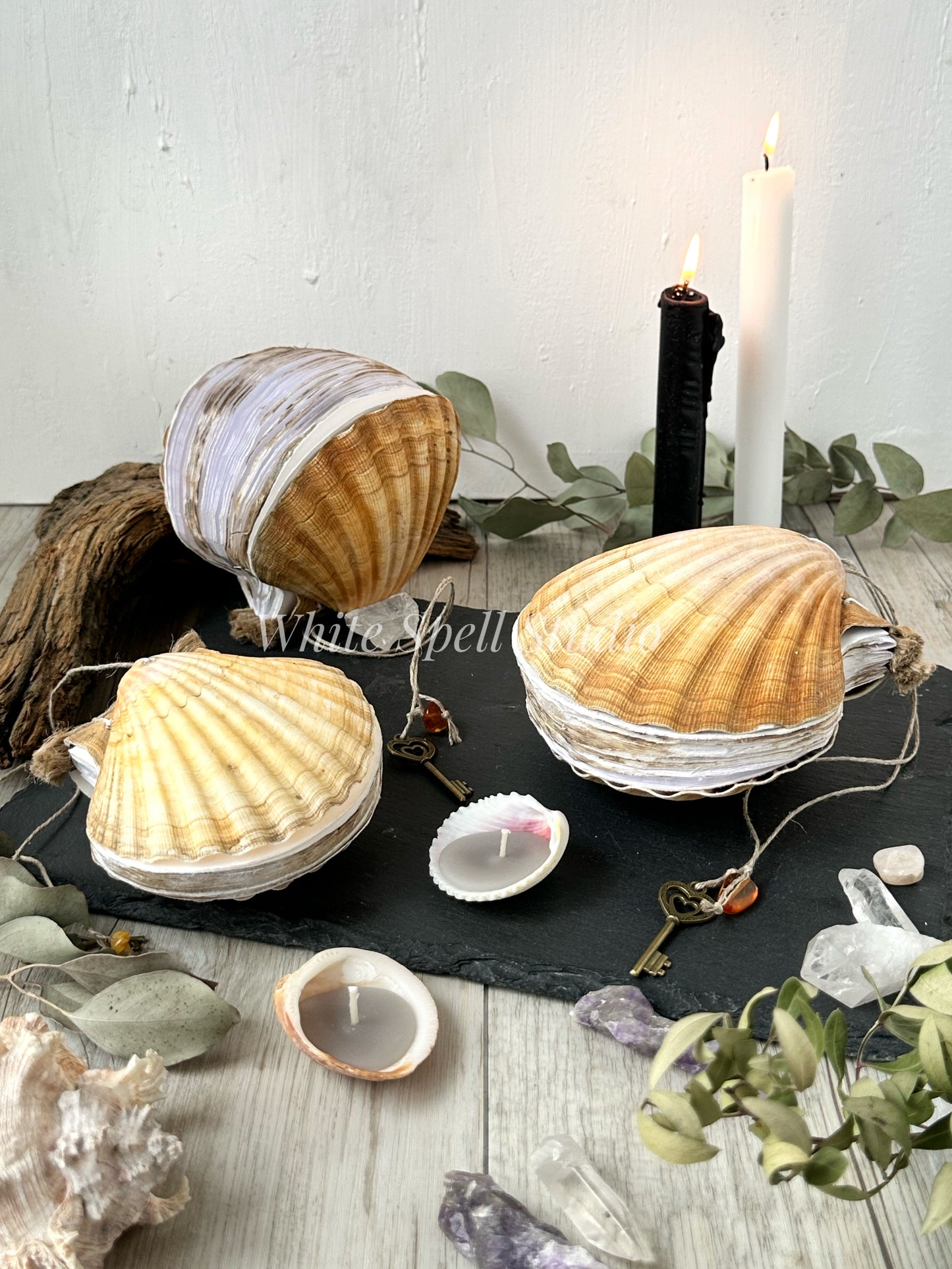 Scallop shell journal, beige (free shipping)