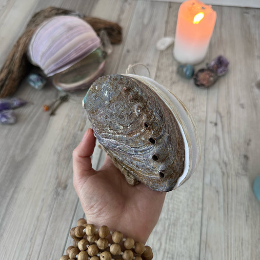 Abalone shell journal (free shipping)